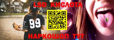 хмурый Сланцы