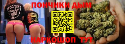 хмурый Сланцы